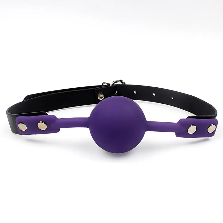 Romulus sex toyshop adults toys store mouth gag ball bdsm mouth gag open bdsm collar and leash purple color